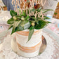 WOODEN CAKE TOPPER