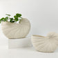 SHELL PLANTER VASE - WHITE